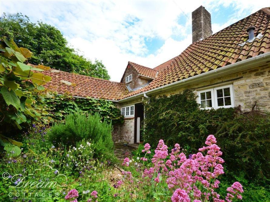 Sixpenny Cottage Upwey Zewnętrze zdjęcie